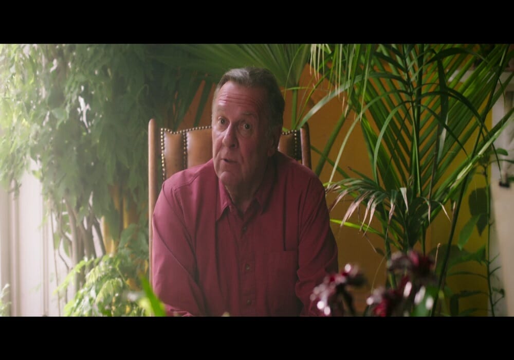 Chesapeake Film Festival THIS BEAUTIFUL FANTASTIC