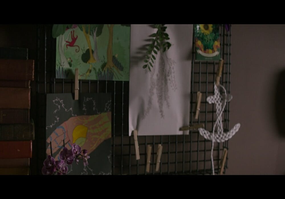 Chesapeake Film Festival THIS BEAUTIFUL FANTASTIC