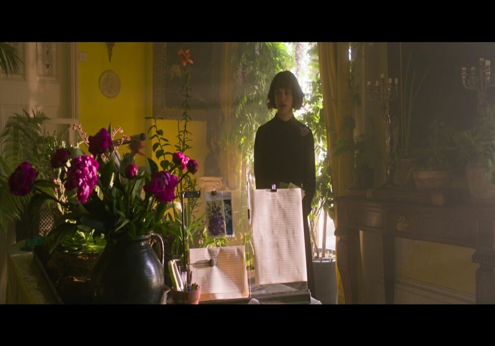 Chesapeake Film Festival THIS BEAUTIFUL FANTASTIC