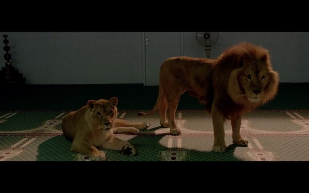 Ovid.tv METAMORPHOSES