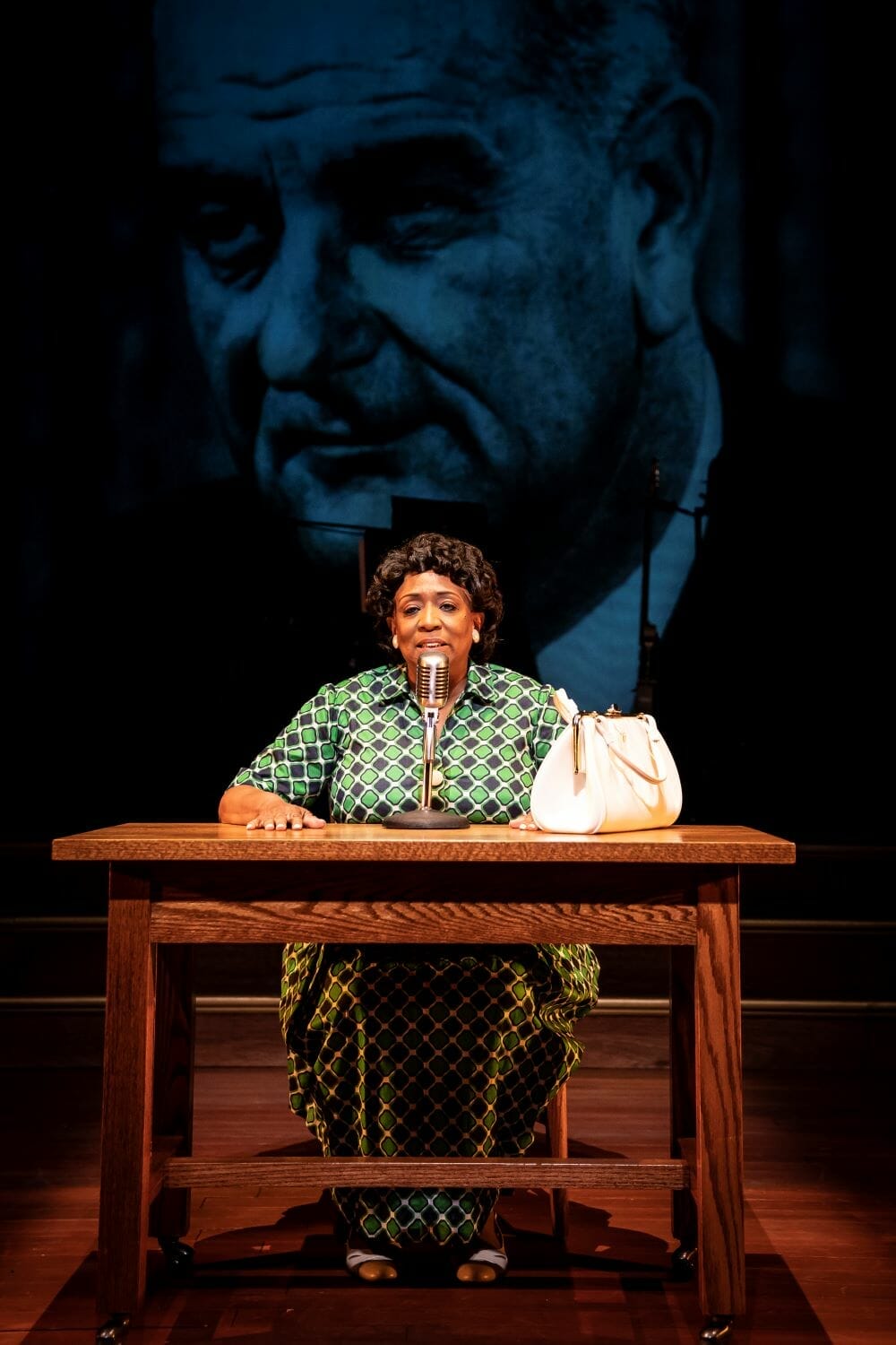 Goodman Theatre FANNIE