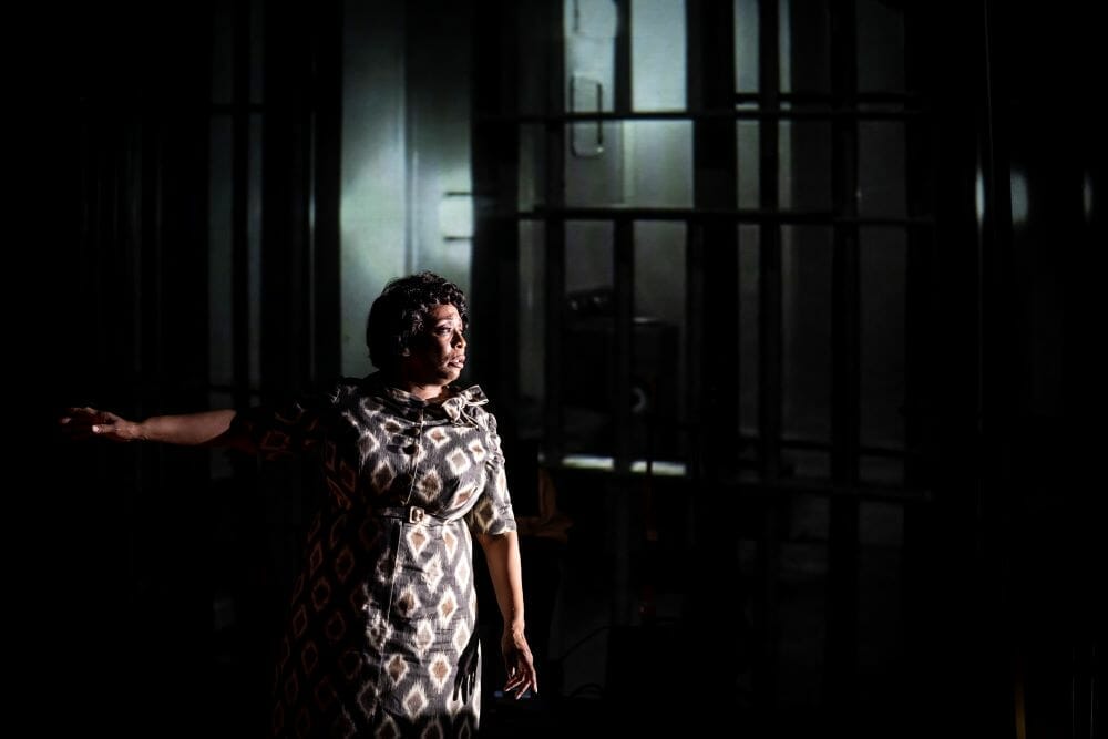 Goodman Theatre FANNIE