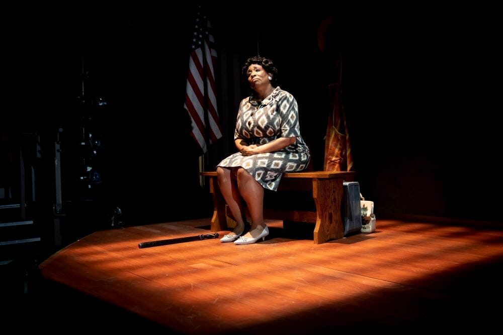 Goodman Theatre FANNIE