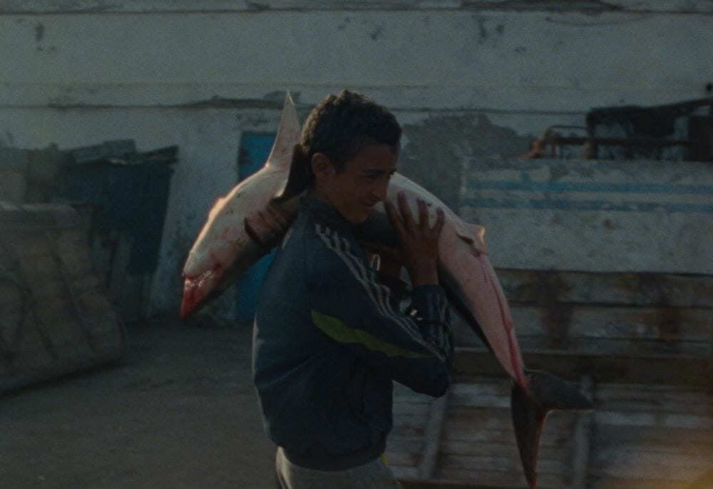 Flying Film Festival LOOSE FISH