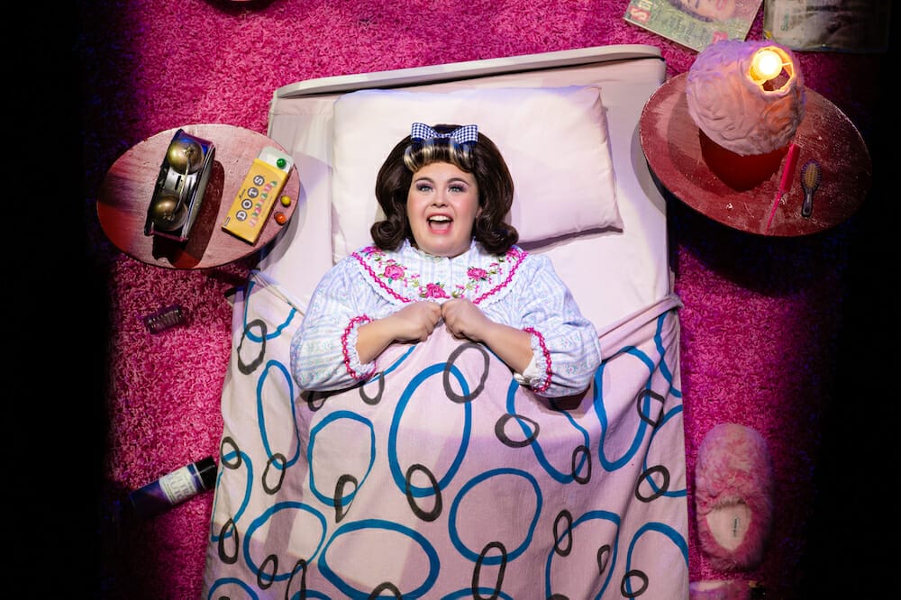 Broadway in Chicago Presents HAIRSPRAY Review