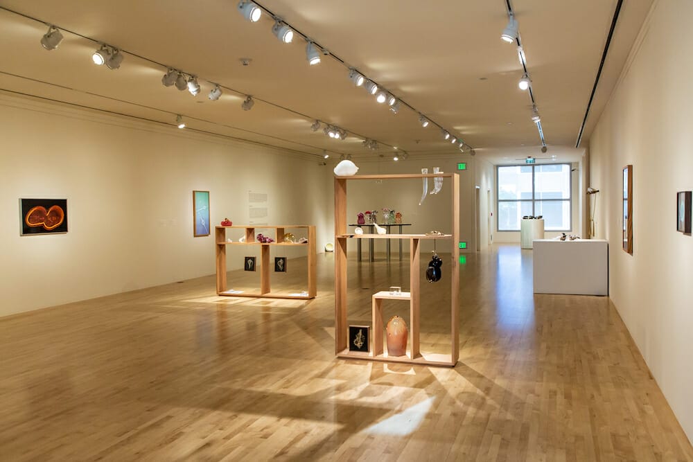 San Jose Museum of Art KELLY AKASHI: FORMATIONS