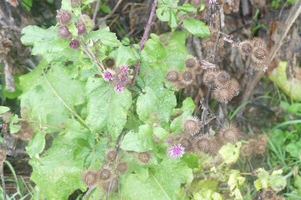 NORMANDY HIKING TOUR Merville to Ouistreham