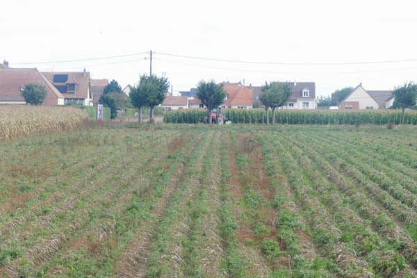 NORMANDY HIKING TOUR Ouistreham to Courseulles sur Mer