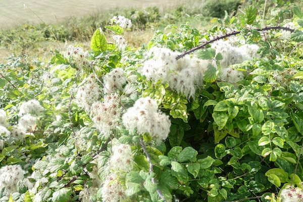 NORMANDY HIKING TOUR Arromanches to Port en Bessin