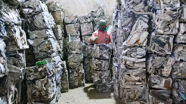 SCRAP Stacey Tenenbaum