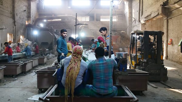 SCRAP Stacey Tenenbaum