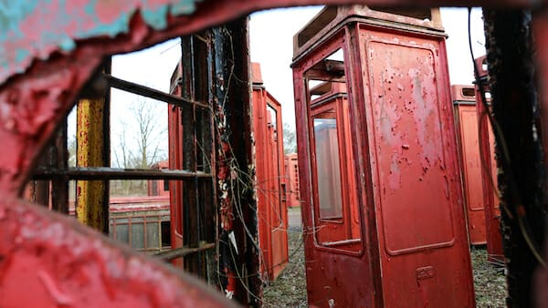 SCRAP Stacey Tenenbaum