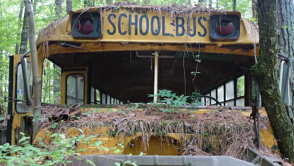 SCRAP Stacey Tenenbaum