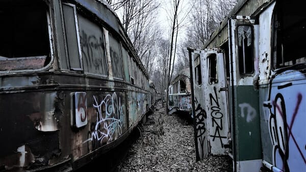 SCRAP Stacey Tenenbaum