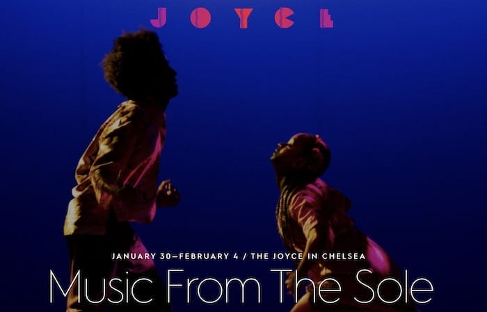 Joyce Theater MUSIC FROM THE SOLE