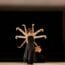 Joyce Theater Presents INTRODANS in ENERGY — Preview