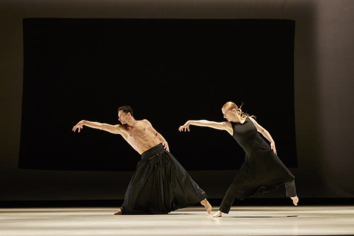 Joyce Theater INTRODANS