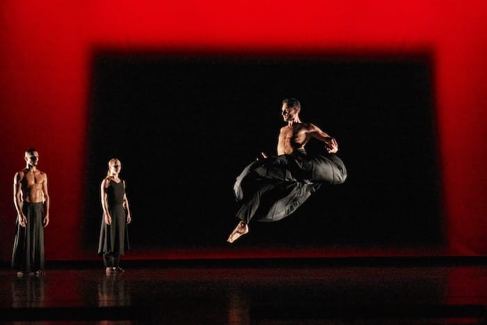 Joyce Theater INTRODANS