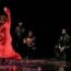 Omayra Amaya Flamenco Dance Company Presents ANTES DEL FIN – Preview