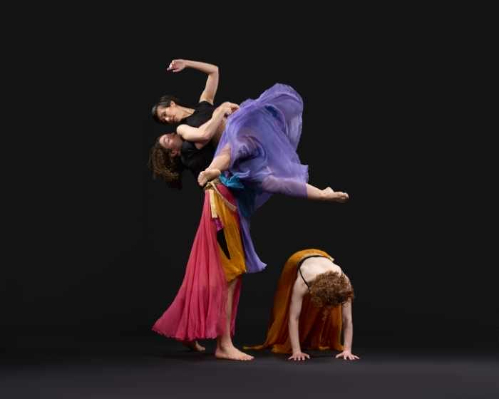 Sokolow Theatre/Dance Ensemble JOY: Dances for Midwinter