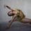 92NY Harkness Dance Center presents Urban Bush Women: Solo Meditations – Preview