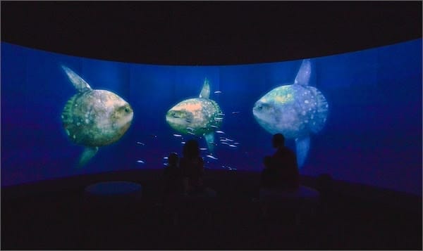 Cal Academy UNSEEN OCEANS