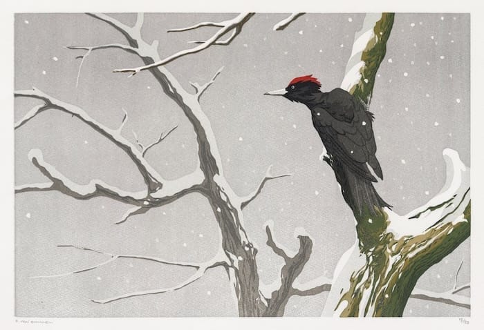 Portland Art Museum Portland Fine Print Fair