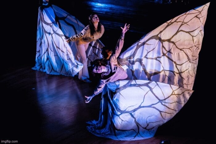 Jody Sperling/Time Lapse Dance Shapes of Change