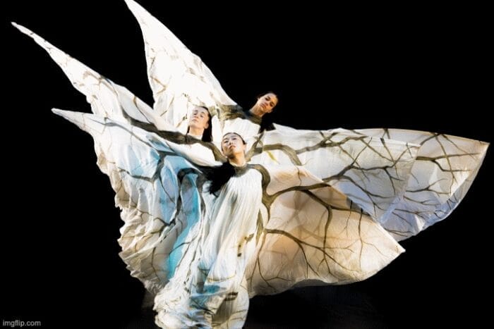 Jody Sperling/Time Lapse Dance Shapes of Change