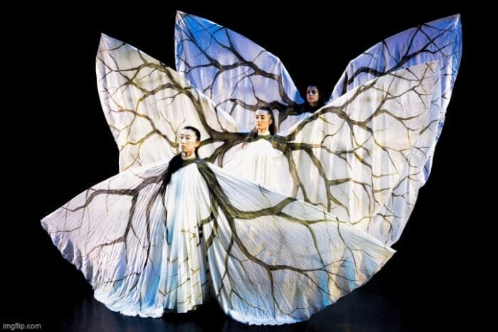 Jody Sperling/Time Lapse Dance Shapes of Change